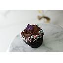 Chocolate Cupcake